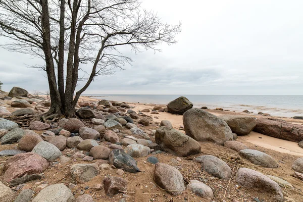 Plage d'automne rocheuse avec vagues s'écrasant sur les rochers — Photo