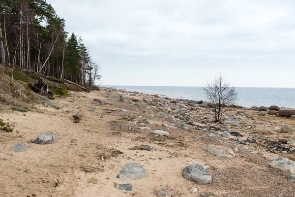 Роковой осенний пляж с волнами, ударяющимися о скалы — стоковое фото