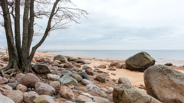 Höstens klippstrand med vågorna kraschar på klipporna — Stockfoto