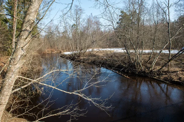 Río congelado en invierno —  Fotos de Stock