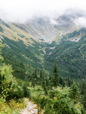 Slovakya'daki Tatra Dağları bulutları ile örtülü