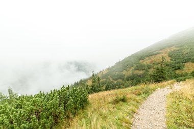 Slovakya'daki Tatra dağ orman bulutları ile örtülü