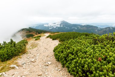 Slovakya'daki Tatra Dağları bulutları ile örtülü
