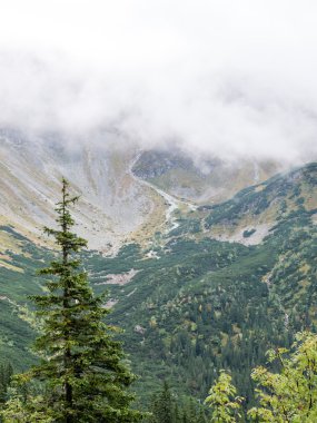 Slovakya'daki Tatra Dağları bulutları ile örtülü