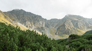 Slovakya'daki Tatra Dağları bulutları ile örtülü