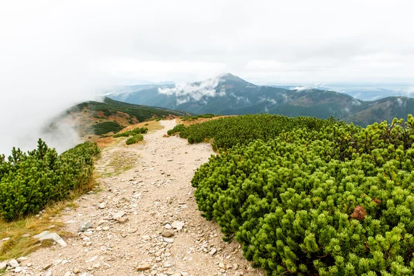 Slovakya'daki Tatra Dağları bulutları ile örtülü