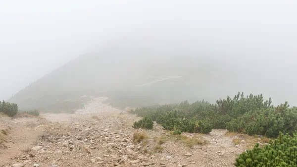 Monti Tatra in Slovacchia coperti di nuvole — Foto Stock