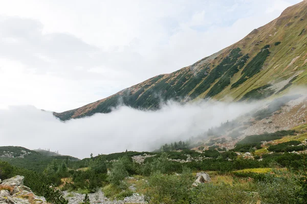 Montagnes Tatra en Slovaquie couvertes de nuages — Photo