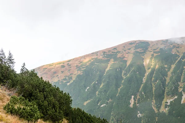 Tatra-Gebirge in der Slowakei mit Wolken bedeckt — Stockfoto