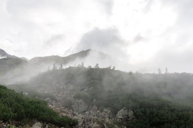 Slovakya'daki Tatra Dağları bulutları ile örtülü