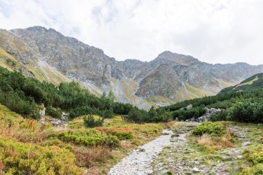 Slovakya'daki Tatra Dağları bulutları ile örtülü