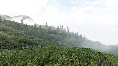 Slovakya'daki Tatra Dağları bulutları ile örtülü