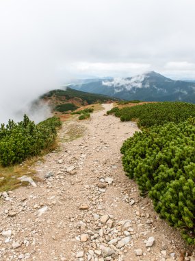 Slovakya'daki Tatra Dağları bulutları ile örtülü