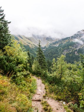 Slovakya'daki Tatra Dağları bulutları ile örtülü