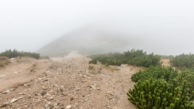 Slovakya'daki Tatra Dağları bulutları ile örtülü