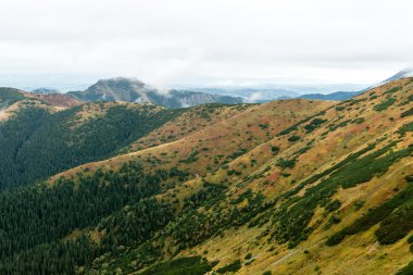 Slovakya'daki Tatra Dağları bulutları ile örtülü
