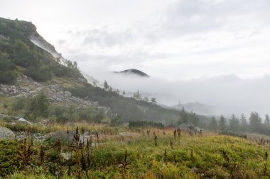 Slovakya'daki Tatra Dağları bulutları ile örtülü