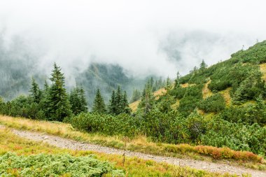 Slovakya'daki Tatra dağ orman bulutları ile örtülü