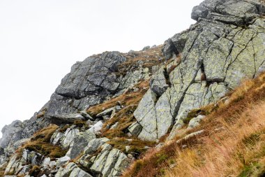 Slovakya'daki Tatra Dağları bulutları ile örtülü