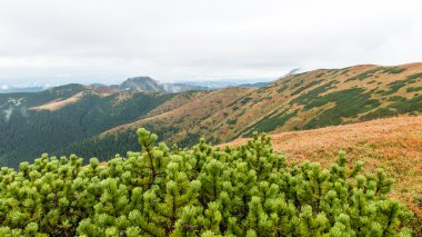 Slovakya'daki Tatra Dağları bulutları ile örtülü