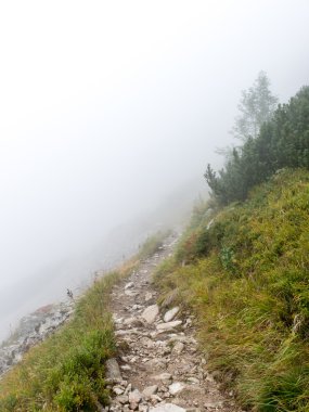 Slovakya'daki Tatra Dağları bulutları ile örtülü