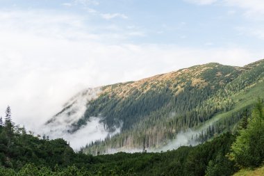 Slovakya'daki Tatra Dağları bulutları ile örtülü