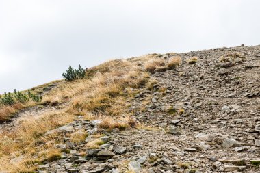 Slovakya'daki Tatra Dağları bulutları ile örtülü