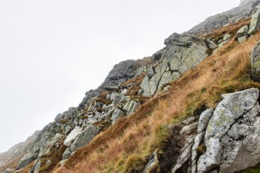 Slovakya'daki Tatra Dağları bulutları ile örtülü