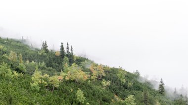 Slovakya'daki Tatra Dağları bulutları ile örtülü