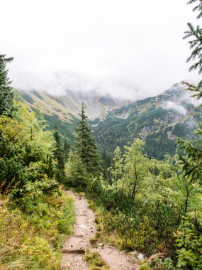 Slovakya'daki Tatra Dağları bulutları ile örtülü