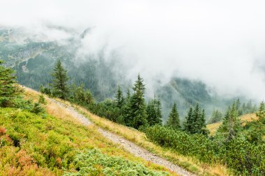 Slovakya'daki Tatra dağ orman bulutları ile örtülü