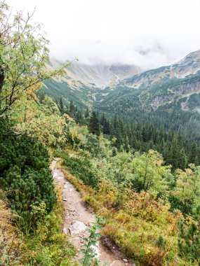 Slovakya'daki Tatra Dağları bulutları ile örtülü