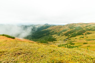 Slovakya'daki Tatra Dağları bulutları ile örtülü