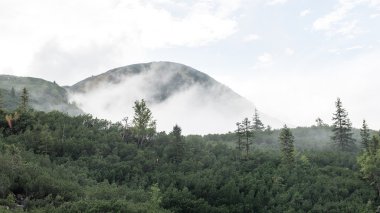 Slovakya'daki Tatra Dağları bulutları ile örtülü