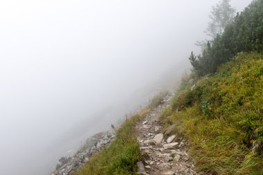 Slovakya'daki Tatra Dağları bulutları ile örtülü