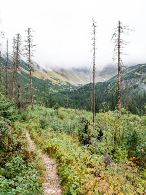 Slovakya'daki Tatra Dağları bulutları ile örtülü