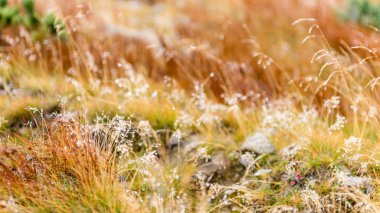 Slovakya'daki Tatra Dağları bulutları ile örtülü