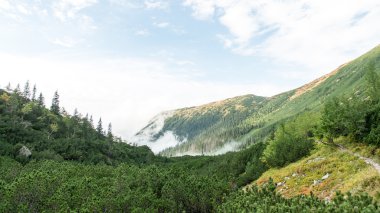 Slovakya'daki Tatra Dağları bulutları ile örtülü