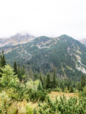 Slovakya'daki Tatra Dağları bulutları ile örtülü