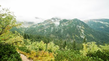 Slovakya'daki Tatra dağ orman bulutları ile örtülü