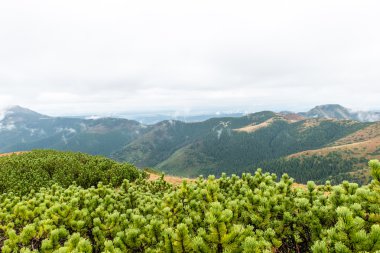 Slovakya'daki Tatra Dağları bulutları ile örtülü