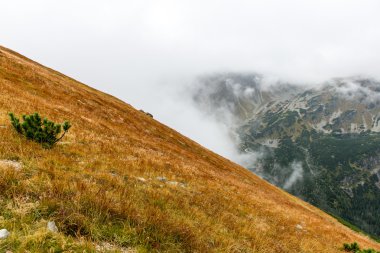 Slovakya'daki Tatra Dağları bulutları ile örtülü