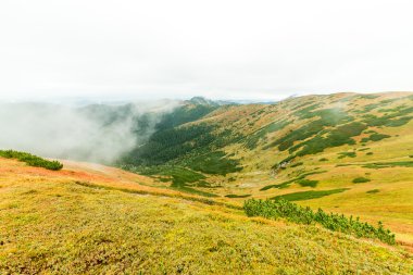 Slovakya'daki Tatra Dağları bulutları ile örtülü