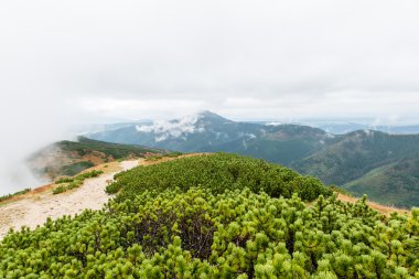 Slovakya'daki Tatra Dağları bulutları ile örtülü