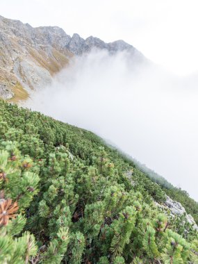 Slovakya'daki Tatra Dağları bulutları ile örtülü