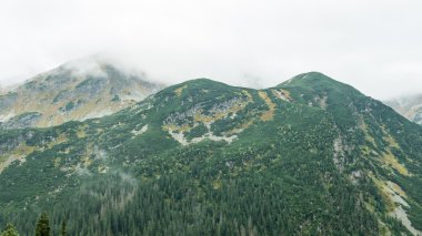 Slovakya'daki Tatra dağ orman bulutları ile örtülü