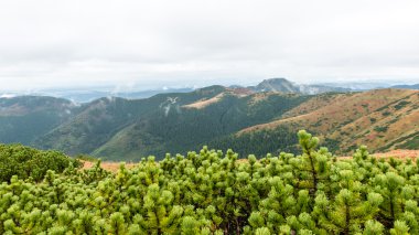 Slovakya'daki Tatra Dağları bulutları ile örtülü
