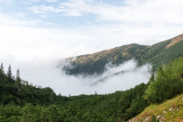 Slovakya'daki Tatra Dağları bulutları ile örtülü