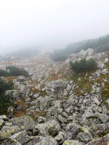 Monti Tatra in Slovacchia coperti di nuvole — Foto Stock