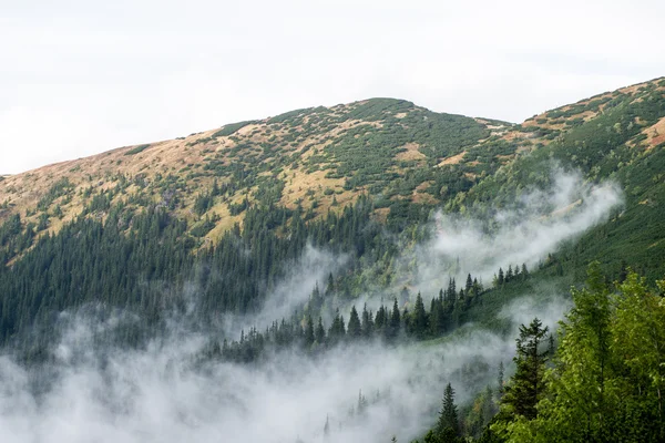 Montañas Tatra en Eslovaquia cubiertas de nubes —  Fotos de Stock